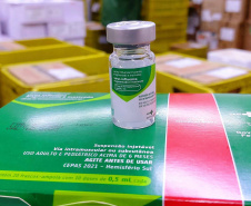 SESA - Paraná convoca população para início da vacinação contra a gripe com Dia D neste sábado