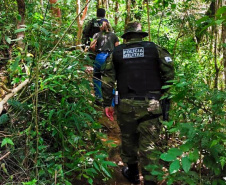IAT - Operação Pico Paraná