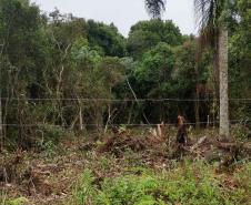 Balanço Operação Verão