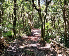 Balanço Operação Verão
