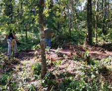 Balanço Operação Verão