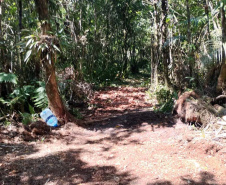Balanço Operação Verão