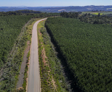Pavimentação em Imbaú/Reserva