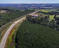 Pavimentação em Imbaú/Reserva