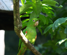 Denis Ferreira Netto/SEDEST