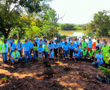 IAT - Plantio Jacarezinho