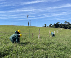 DER Imbaú e Reserva