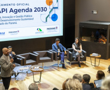 FUNDAÇÃO ARAUCÁRIA - NAPI 2030