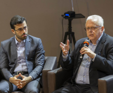 FUNDAÇÃO ARAUCÁRIA - NAPI 2030