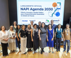 FUNDAÇÃO ARAUCÁRIA - NAPI 2030