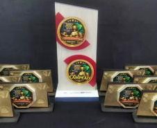 Adolescentes da socioeducação do Paraná participam do I Torneio Interestadual de Damas Online