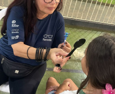 SEDEF - Estado inicia triagens da segunda fase do programa Bons Olhos Paraná