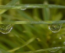 IAT - Programação Dia Mundial da Água