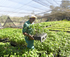 IAT - Paraná Mais Verde