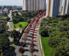Outono começa na sexta com chuva acima da média e mais dias com amplitude térmica