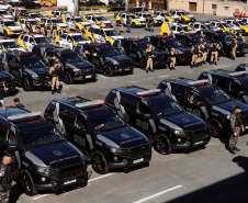 Operação Omnis: primeiro dia tem 22 detenções e apreensão de drogas e arma de fogo