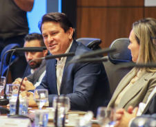 VICE PARANÁ PRODUTIVO