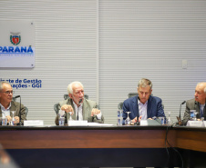 VICE PARANÁ PRODUTIVO