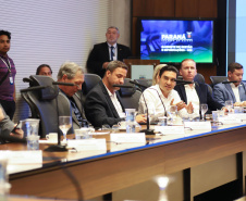 VICE PARANÁ PRODUTIVO