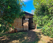 Programa Mulher Segura leva ações de conscientização a aldeias indígenas no Paraná