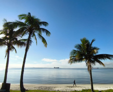 ESCOLA ILHA DAS COBRAS