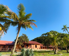 ESCOLA ILHA DAS COBRAS