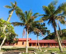 ESCOLA ILHA DAS COBRAS