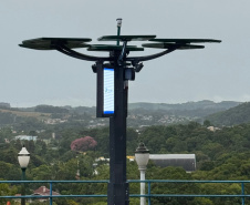 INOVA PR - Startup cria “araucária digital” com apoio do Paraná Anjo Inovador