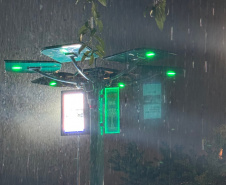 INOVA PR - Startup cria “araucária digital” com apoio do Paraná Anjo Inovador