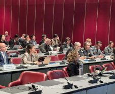 Paraná sediará pela primeira vez nas Américas encontro global da ONU sobre busca e resgate