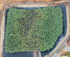 Gestão inteligente do lodo no tratamento de esgoto da Sanepar conquista prêmio nacional