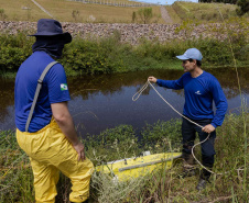 Sanepar impulsiona PIB do Paraná e gera 100 mil empregos