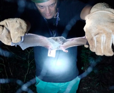 Adapar realiza treinamento para controle de zoonoses em animais de produção