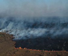 Museu Paranaense encerra Abril Indígena com performance e contação de história