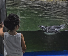 IAT - Unidades de Conservação