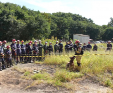 Treinamento reforça papel estratégico dos cães de busca dos bombeiros em resgates