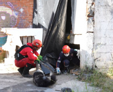 Treinamento reforça papel estratégico dos cães de busca dos bombeiros em resgates