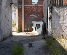 Treinamento reforça papel estratégico dos cães de busca dos bombeiros em resgates