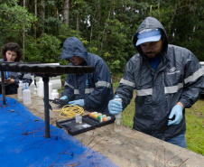 Sanepar encontra irregularidades em 37% dos imóveis vistoriados no Litoral