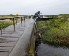 Sanepar encontra irregularidades em 37% dos imóveis vistoriados no Litoral