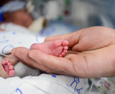 Diagnóstico Precisão