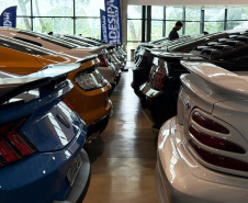 VIAJE PARANÁ - Mustang Meeting aquece serviços, atrativos e promove o Turismo Sobre Rodas no Paraná