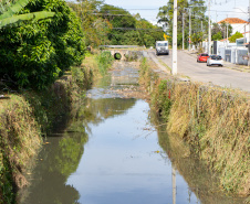 Estudantes plantam cinturão verde em São José dos Pinhais