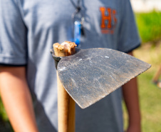 Estudantes plantam cinturão verde em São José dos Pinhais