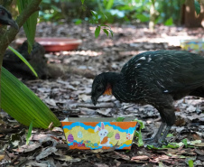 Páscoa é oportunidade de fazer turismo e conhecer atrativos ao redor do Paraná; confira dicas