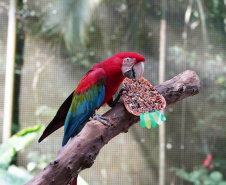 Páscoa é oportunidade de fazer turismo e conhecer atrativos ao redor do Paraná; confira dicas