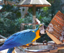 Páscoa é oportunidade de fazer turismo e conhecer atrativos ao redor do Paraná; confira dicas