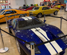 VIAJE PARANÁ - Mustang Meeting aquece serviços, atrativos e promove o Turismo Sobre Rodas no Paraná