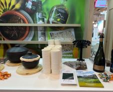 Viaje Paraná seleciona profissionais para coexpor em Fórum do turismo voltado ao público 60+