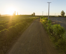 Governador anuncia R$ 35,9 milhões para infraestrutura urbana e rural de Ivaiporã